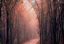 爱游戏体育：中国跳水队新掌门花落谁手？5人上榜几率很大，郭晶晶、陈若琳在其中.