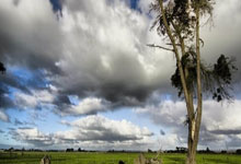 香港国际七人橄榄球赛收官 中国香港队斩获男女“银剑杯”赛冠军中国新闻网.