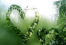 爱游戏体育：中国跳水队新掌门花落谁手？5人上榜几率很大，郭晶晶、陈若琳在其中.